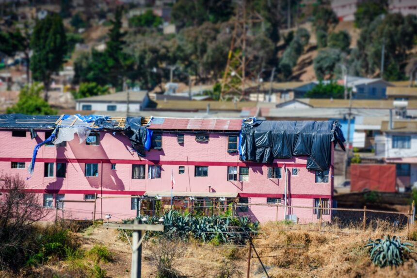 El Olivar (1) De víctimas a sobrevivientes: un espacio de memoria a un año del mega incendio