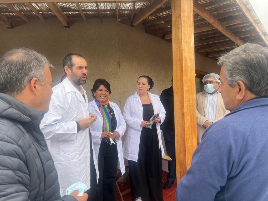 “Desde Atacama al mundo: Alianza público-privada busca posicionar el aceite de oliva del Huasco con denominación de origen y más innovación”