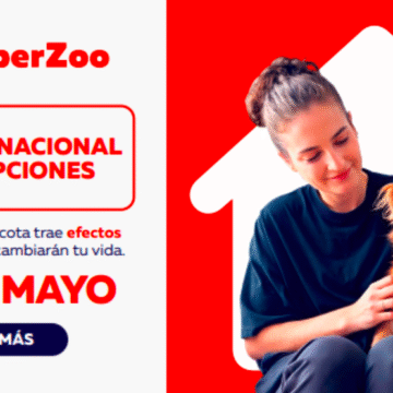 Jornada RM Jornada Nacional de Adopción de SuperZoo busca encontrarle hogar a 120 perros y gatos