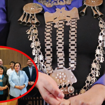 imagen_2025-05-01_123533921 Comisión para la Paz y el Entendimiento no consigue unanimidad en acuerdo: Conclusiones llegarán al presidente Boric