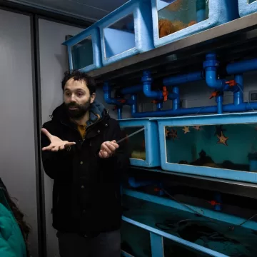 Acuario del Centro Antártico Internacional: vida marina polar en Punta Arenas